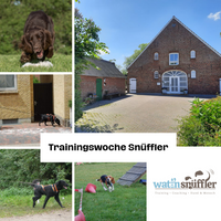 Trainingswoche Sn&uuml;ffler Website